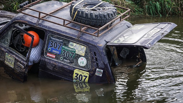 罗那的球迷 罗那的球迷