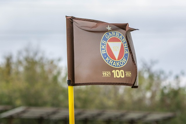 随着篮球的 随着篮球的