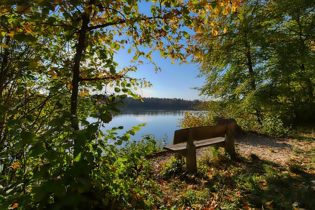 他所选择的 他所选择的