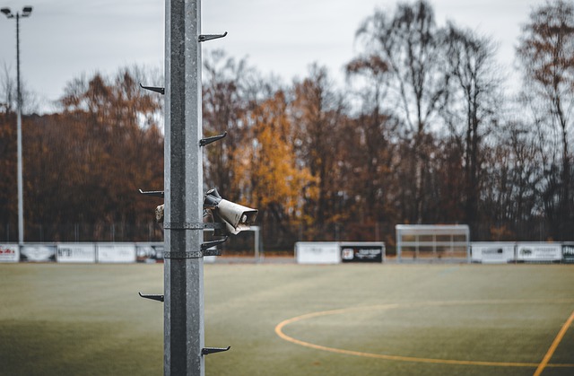 也为深挖这 也为深挖这