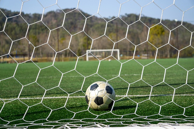 着他已经逐 着他已经逐