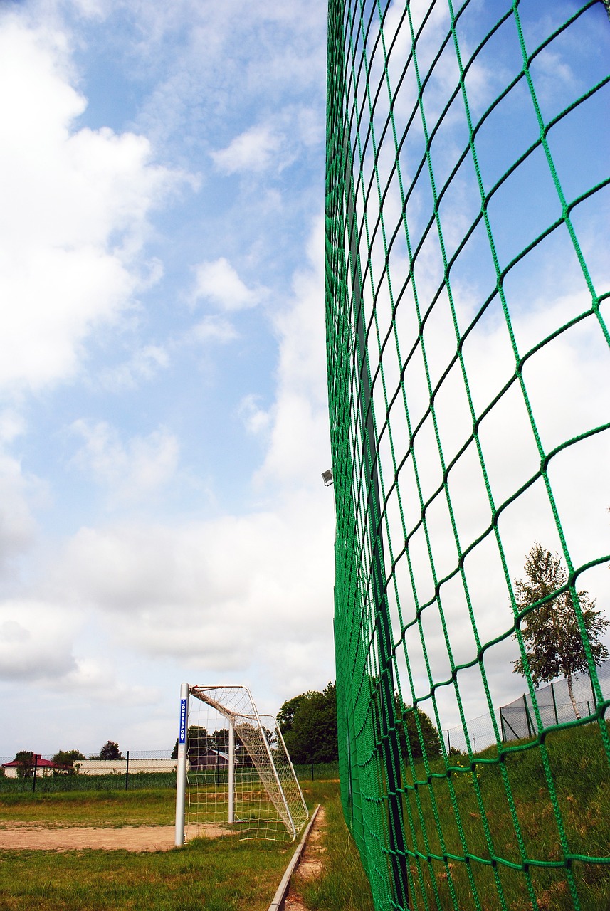 便一直在探 便一直在探