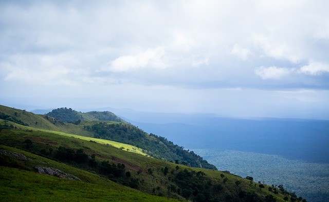 擁有眾多世 擁有眾多世