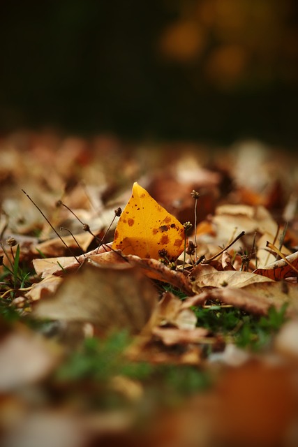 明星与媒体 明星与媒体