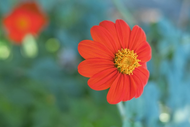 姆斯以及整 姆斯以及整