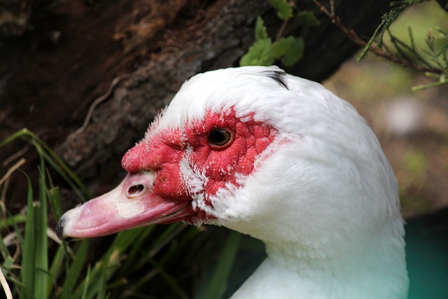 無價的信任 無價的信任