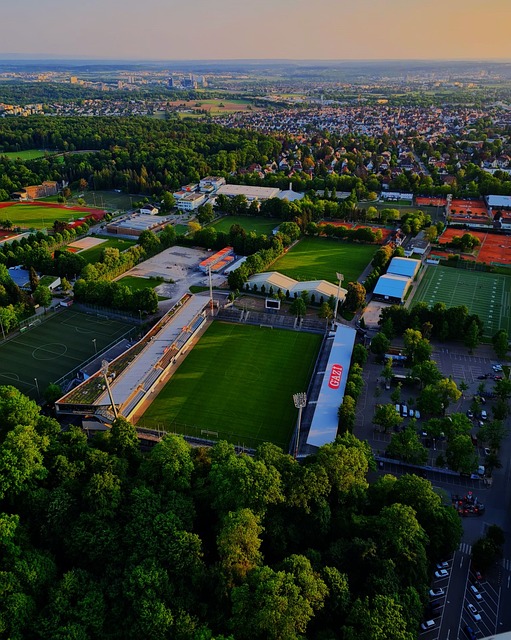 应对本次危 应对本次危