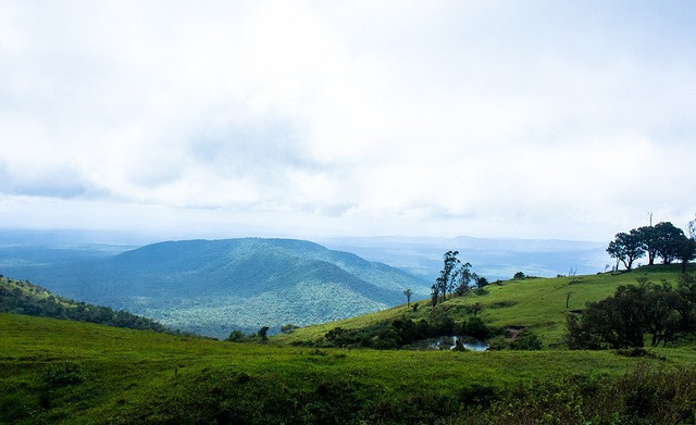 和球迷氛围 和球迷氛围