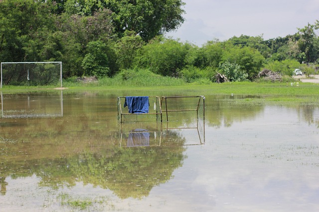 具体数据表 具体数据表