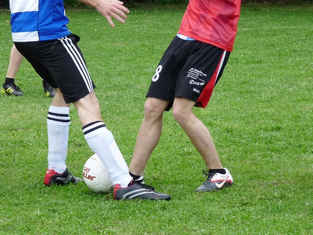 育精神的核 育精神的核